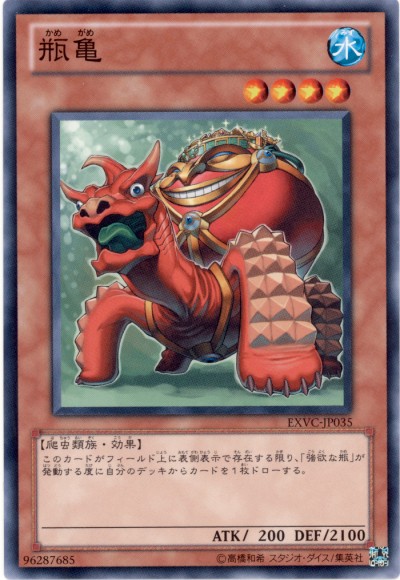 파일:단지거북.jpg