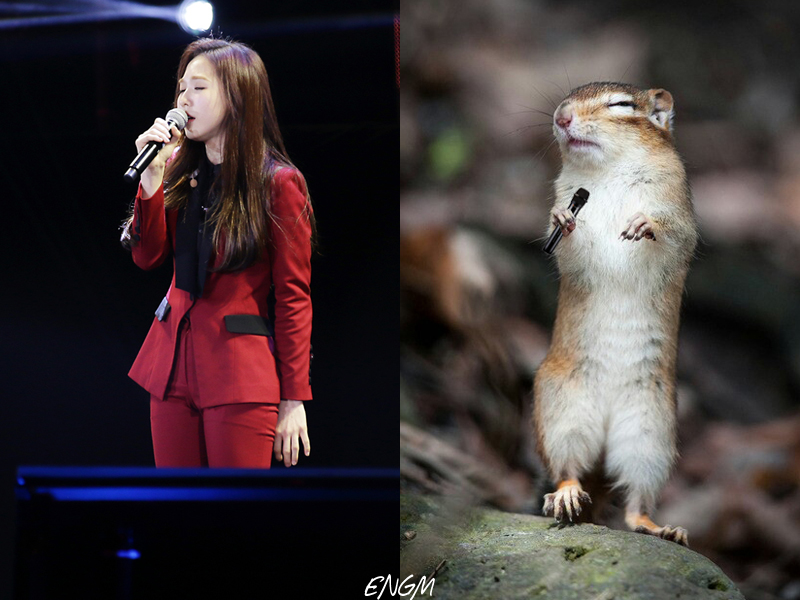 파일:완람쥐2.jpg