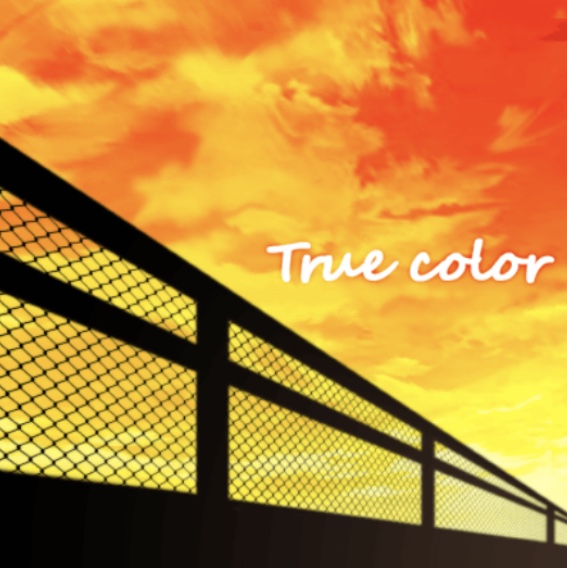 파일:True color.jpg