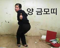 파일:양 금모.jpg