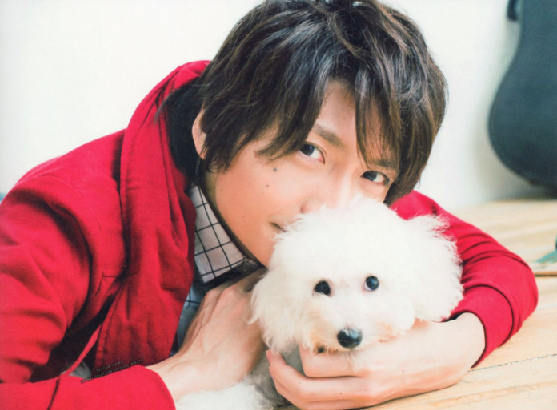 파일:Shimazaki nobunaga 1.png