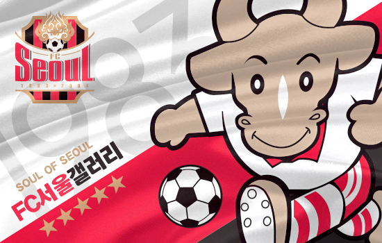 파일:FC 서울.jpg
