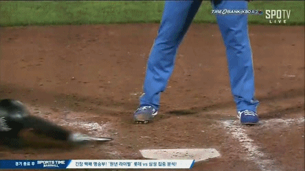 파일:나경민포효.gif