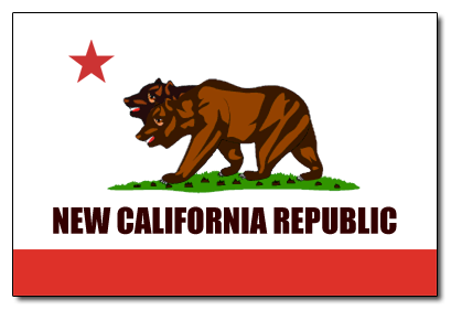 파일:NCR Flag.png