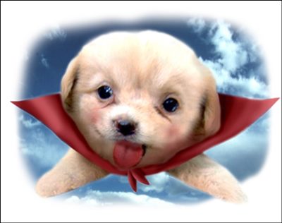 파일:Flydog.jpg