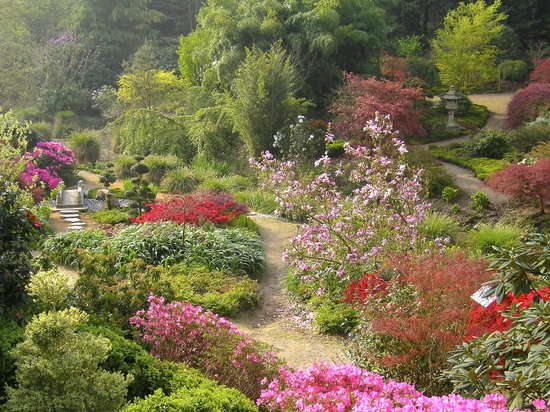 파일:Jardin du Soleil Levant.jpg