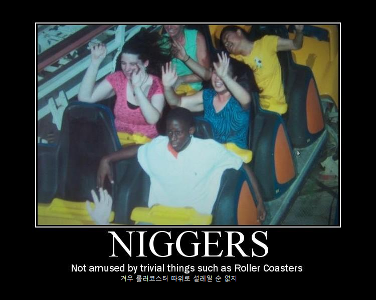 파일:Nig 1243054188540 kr.png
