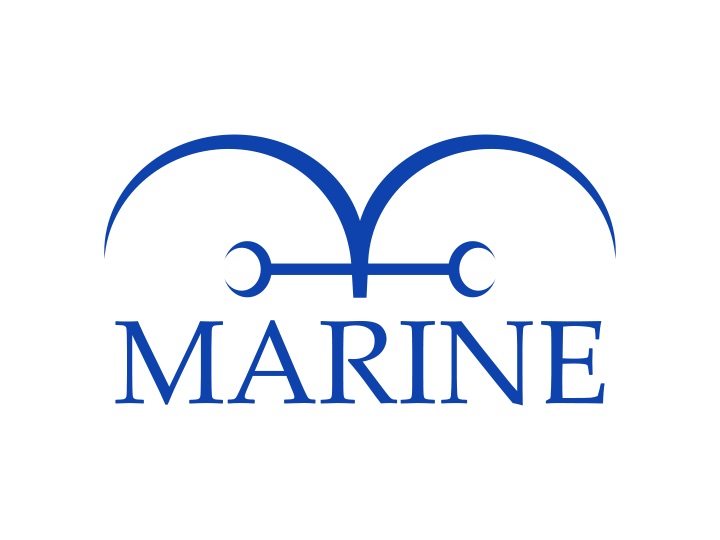 파일:해군(원피스) marine.jpg
