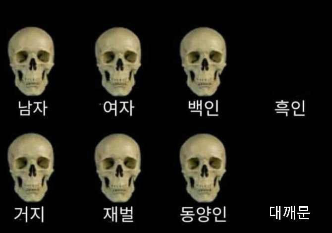 파일:髑髏.jpg