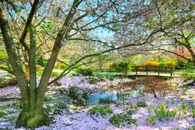 파일:Setagaya Park.jpg