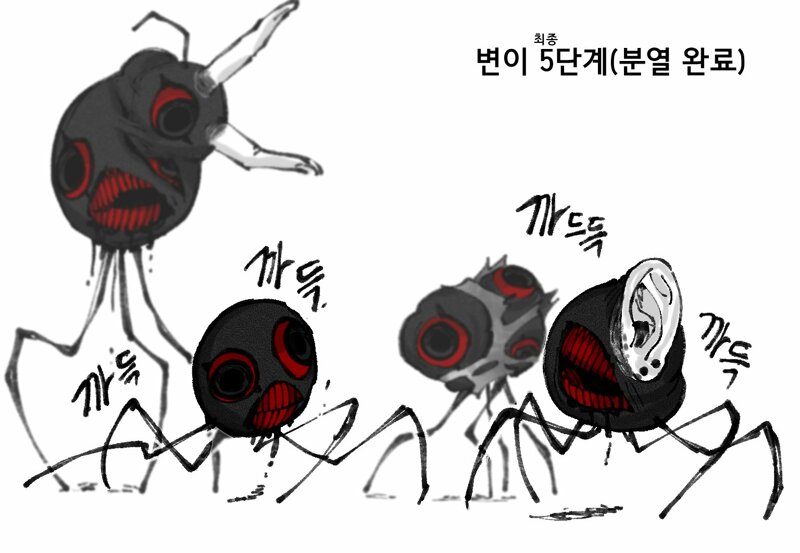 파일:종양거미4.jpg