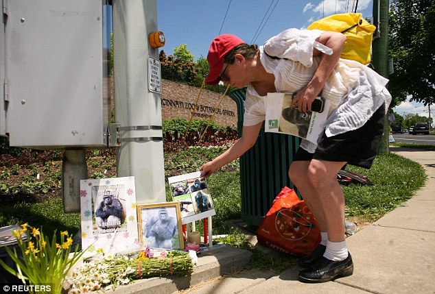 파일:Harambe Memorial.jpg