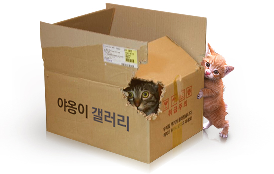 파일:야옹이.jpg