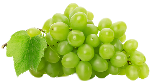 파일:Green-Grapes.png
