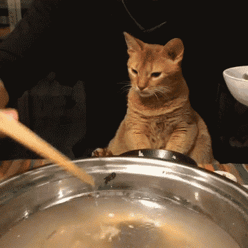 파일:988059934 148fd6aa.gif