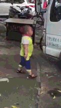 파일:대륙의 꼬마.gif