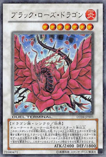 파일:블랙로즈.jpg