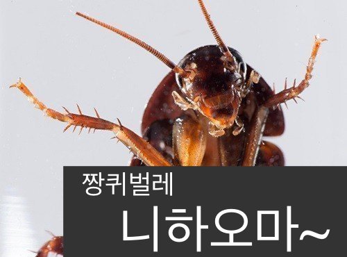 파일:중국인 모습.jpg