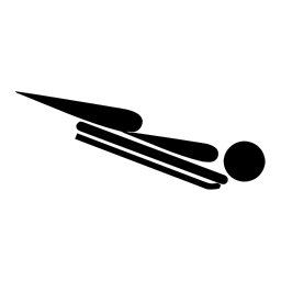 파일:256px-Skeleton pictogram.svg.png