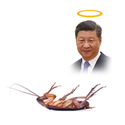 파일:착짱죽짱의 예시.png