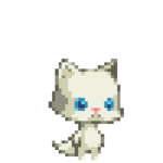 파일:크퀘냥캣.png