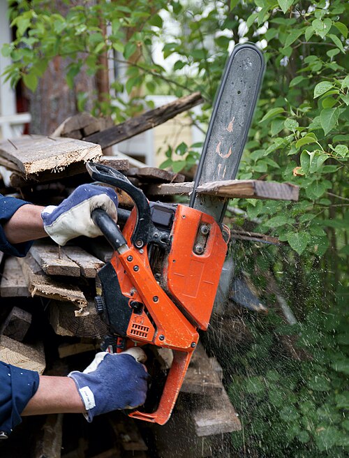 파일:Chainsaw.JPG