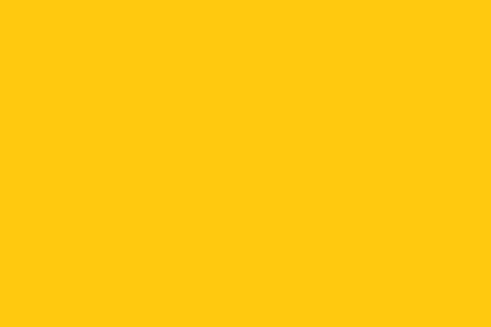 파일:Flag of Ayyubid Dynasty.svg