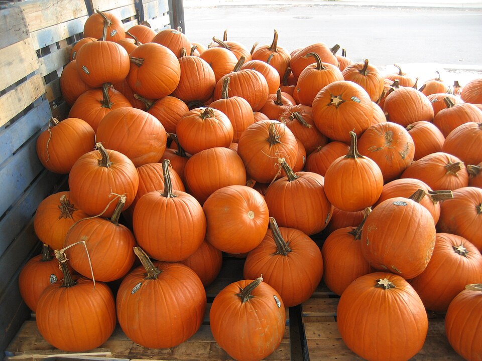파일:FrenchMarketPumpkinsB.jpg