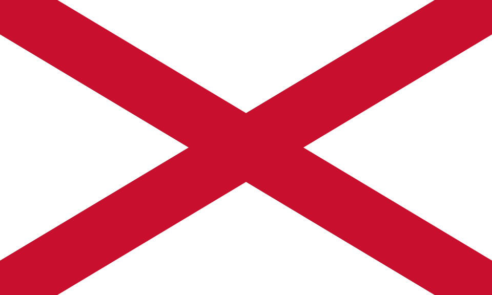 파일:Saint Patrick's Saltire.svg