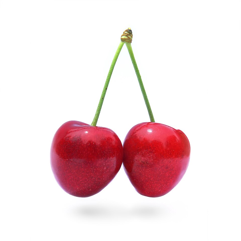 파일:Cherry Stella444.jpg
