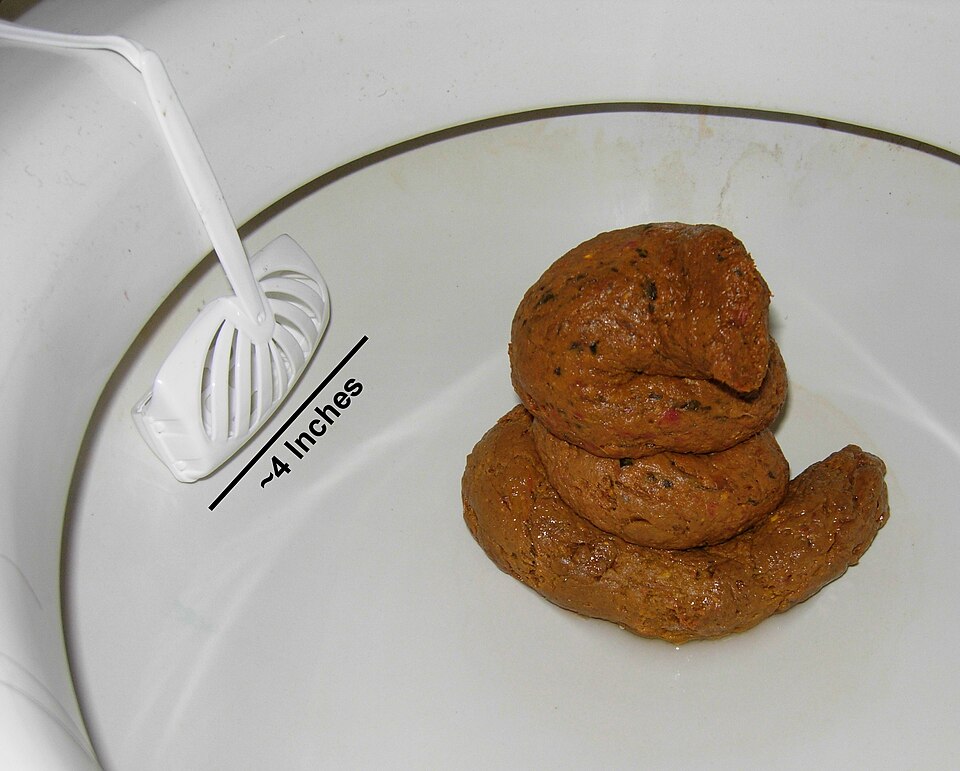 파일:Human Feces.jpg