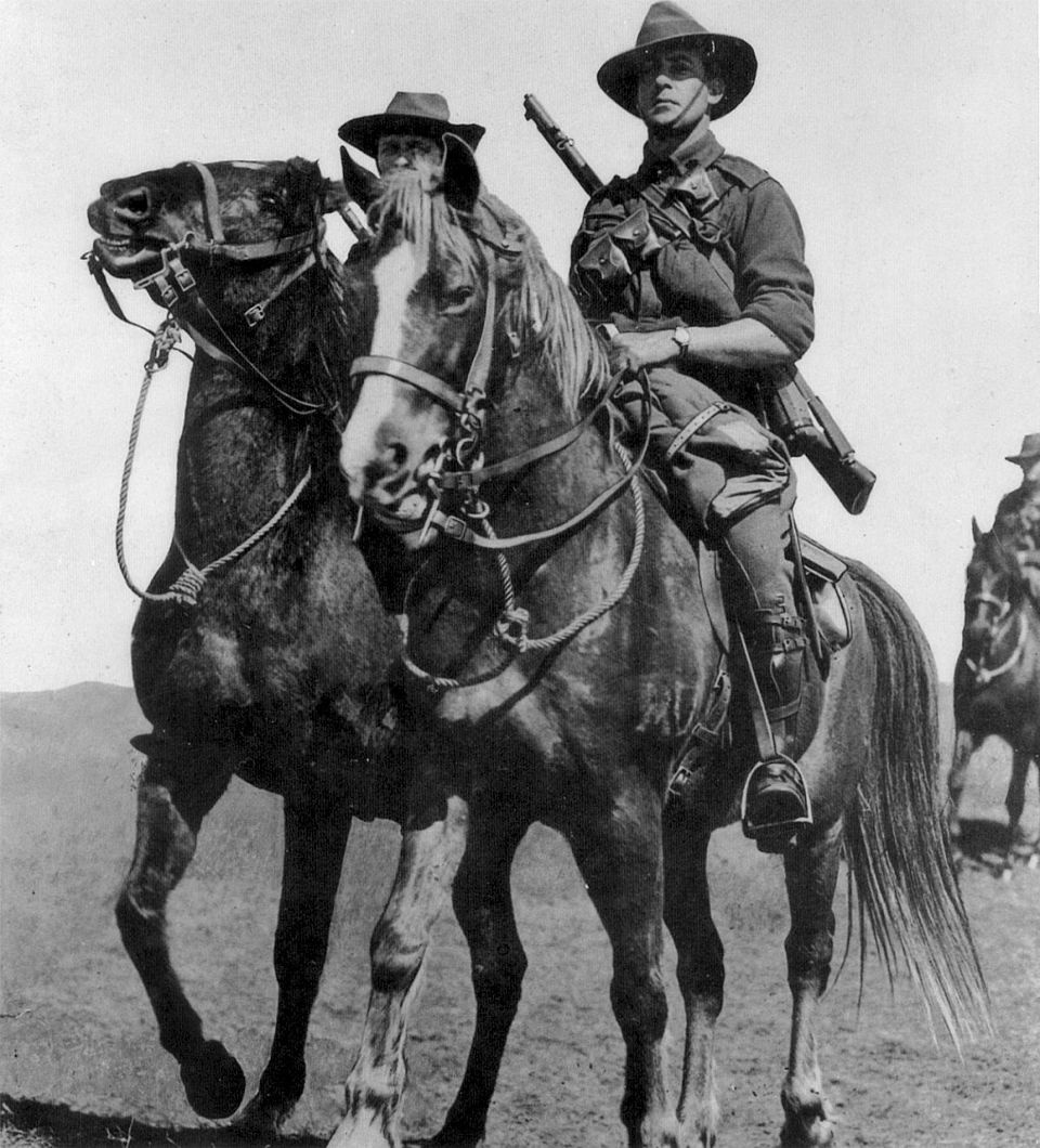 파일:Light horse walers.jpg