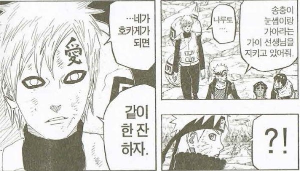 파일:가아라의 정치력.jpg
