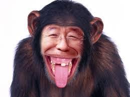 파일:박원숭이.jpg