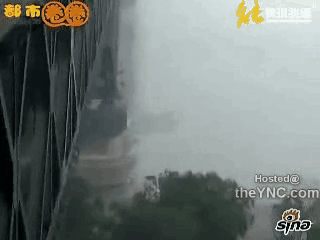 파일:대륙의 운지법.gif