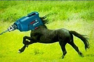 드릴말.jpg