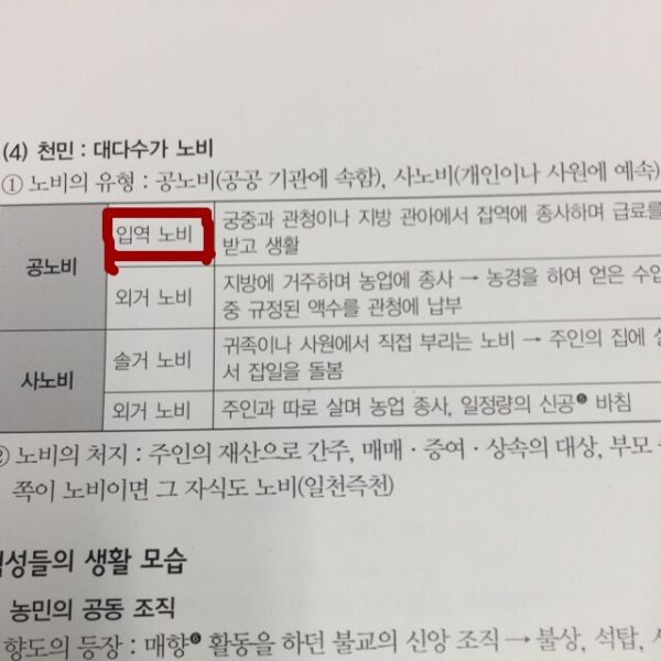 파일:노비의종류.jpg