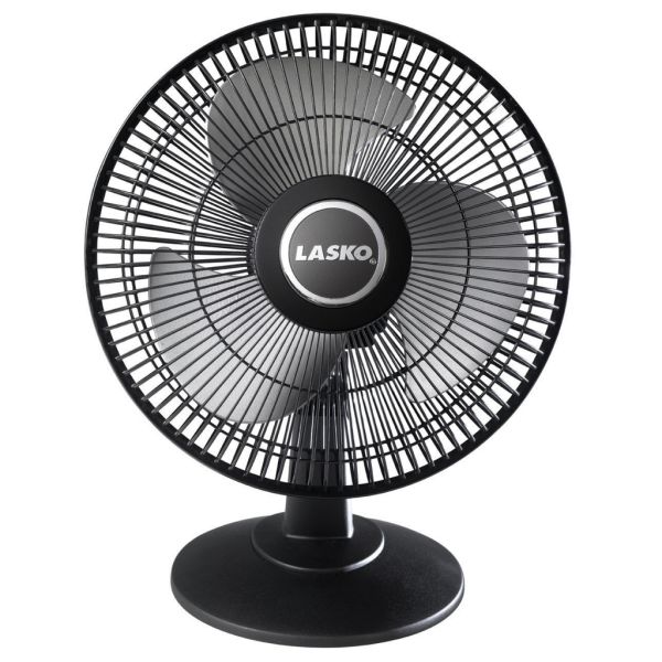파일:Fan 02.jpeg