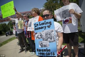 Harambe In Loving Memory.jpg