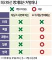 2026년 1월 5일 (월) 19:19 판의 섬네일