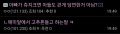 2026년 1월 5일 (월) 19:18 판의 섬네일