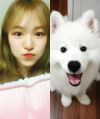 2026년 1월 5일 (월) 19:08 판의 섬네일