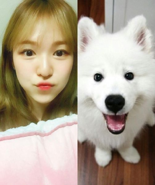 파일:완뭉이.jpg