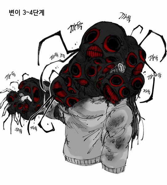 파일:종양거미3.jpg