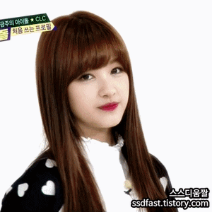 승4.gif