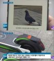 2026년 1월 5일 (월) 19:21 판의 섬네일
