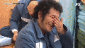 2026년 1월 5일 (월) 19:14 판의 섬네일