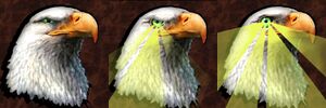 Eagle.jpg