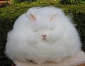 2026년 1월 5일 (월) 19:08 판의 섬네일