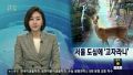 2026년 1월 5일 (월) 19:17 판의 섬네일